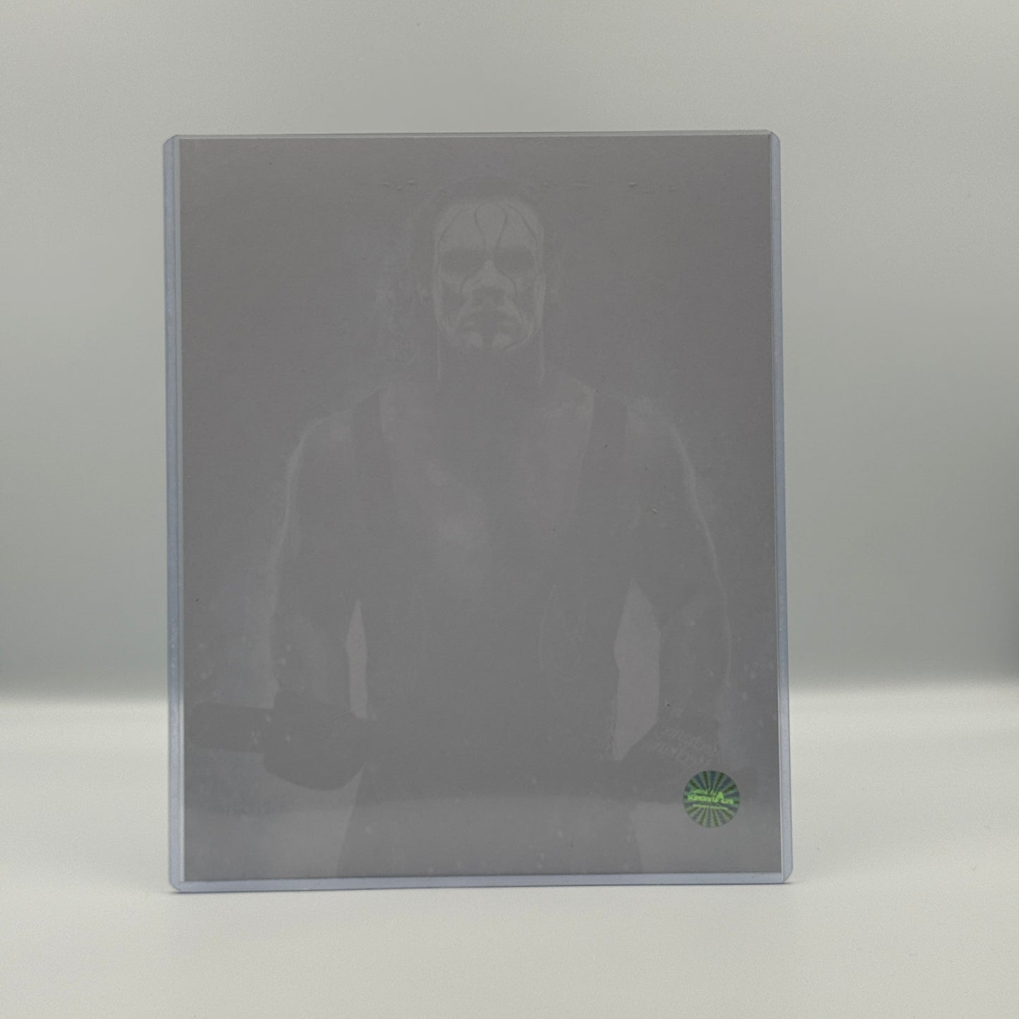 Sting Signed 8x10 Crow NWO Photo - WCW Wrestling