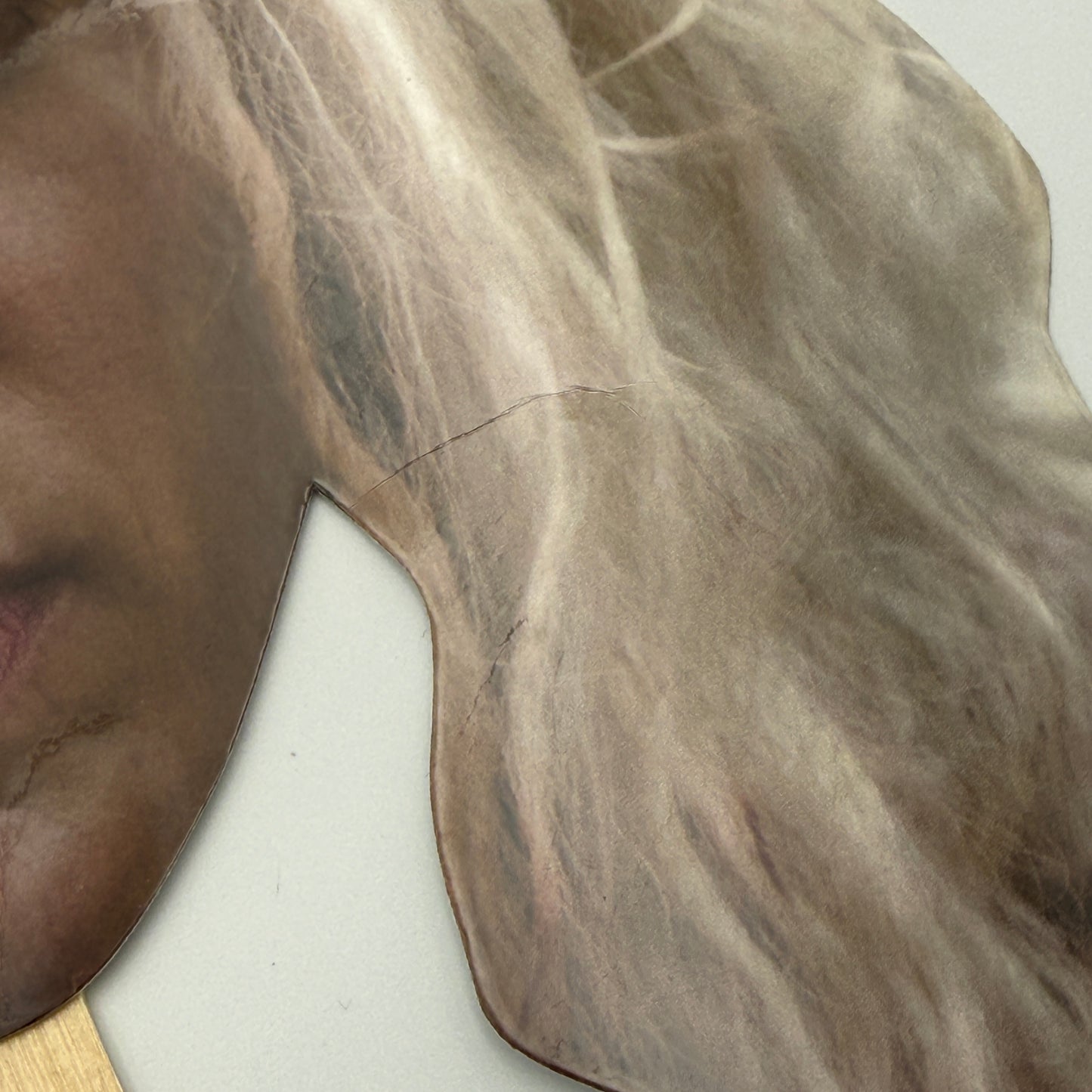 Rob Zombie's 31 Theatrical Movie Promo Masks - Richard Brake & Sheri Moon Zombie