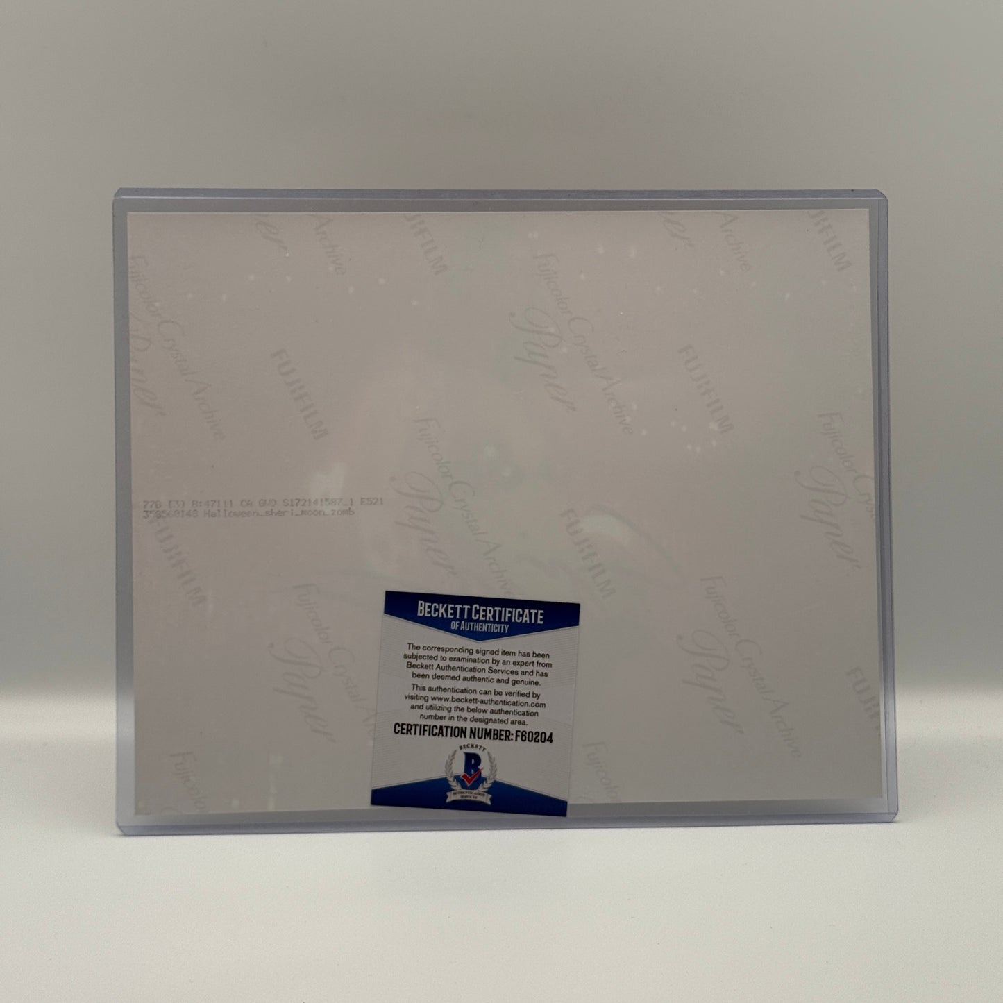 Rob Zombie's Halloween Sheri Moon Zombie Signed 8x10 Photo Beckett