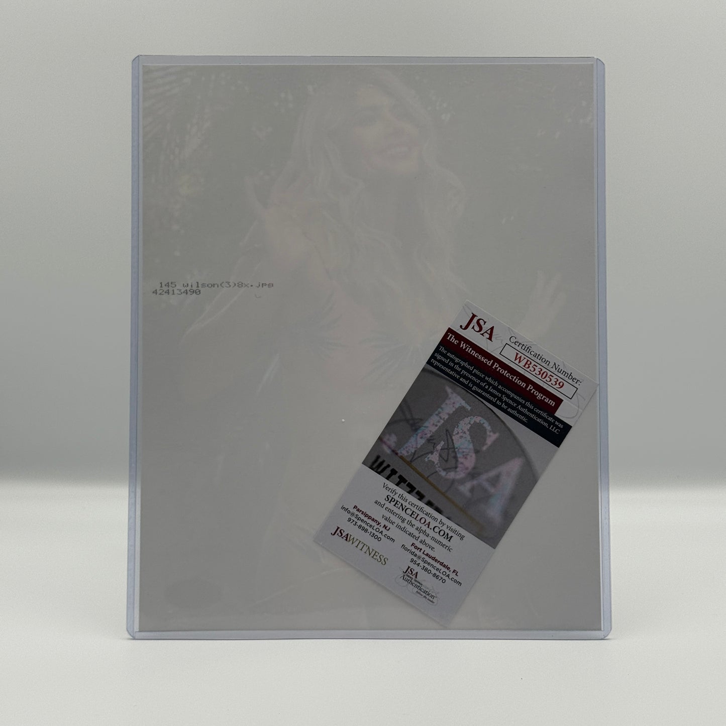 Torrie Wilson Signed 8x10 Photo JSA - WWF WWE Wrestling