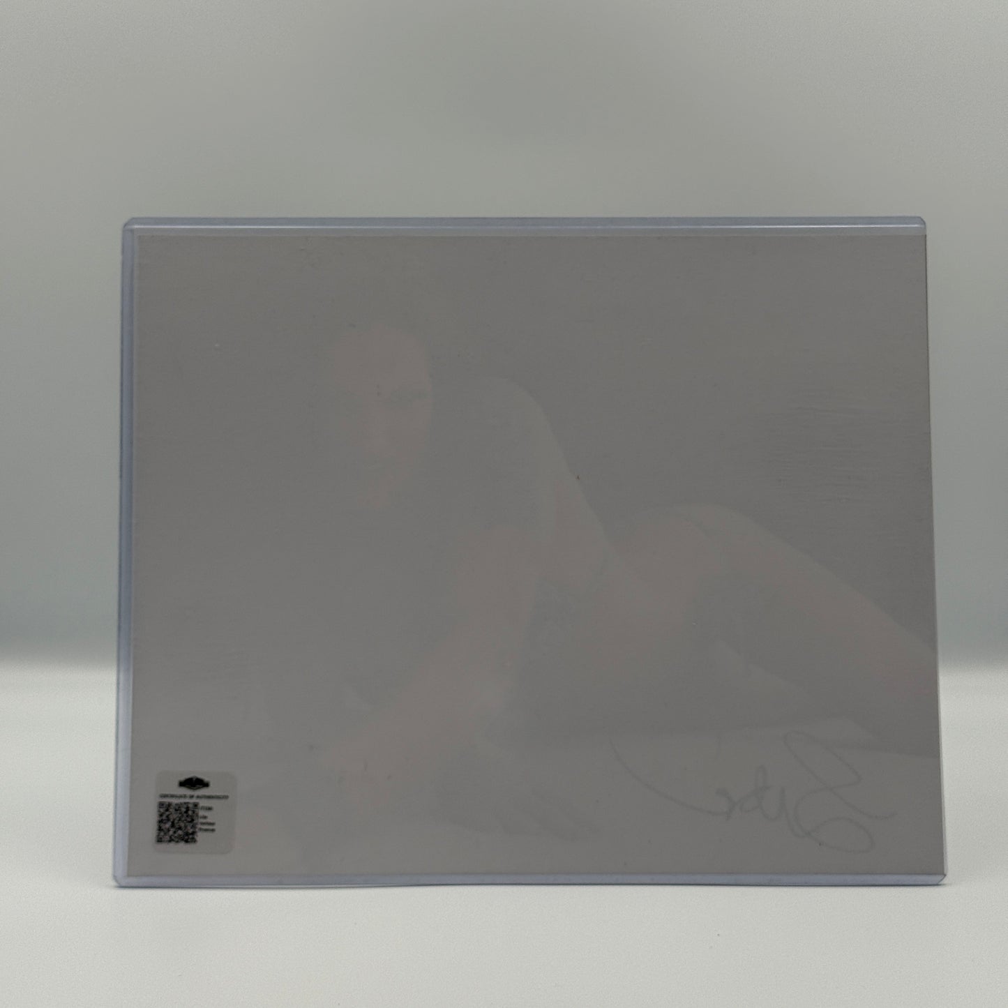 Lita Amy Dumas Signed 8x10 Photo - WWF WWE Wrestling