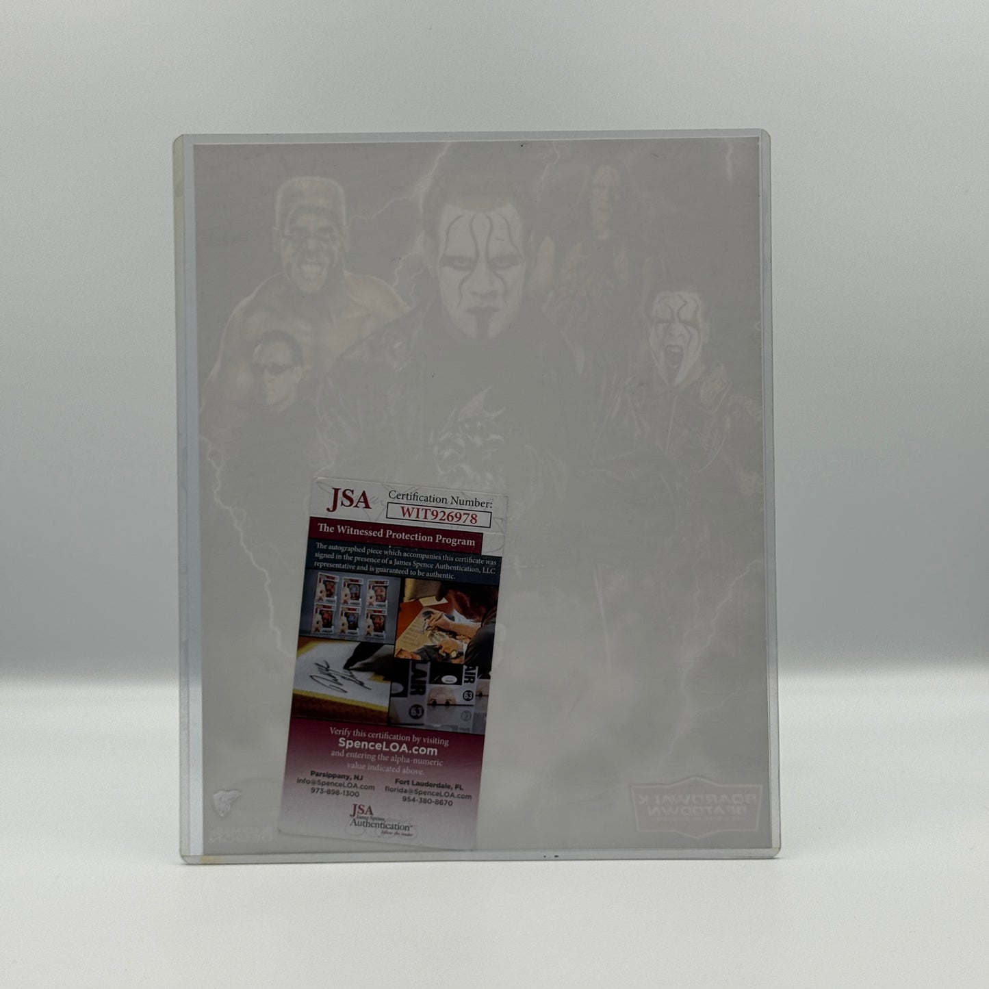 Sting Signed Faces 8x10 Photo JSA - WCW Wrestling