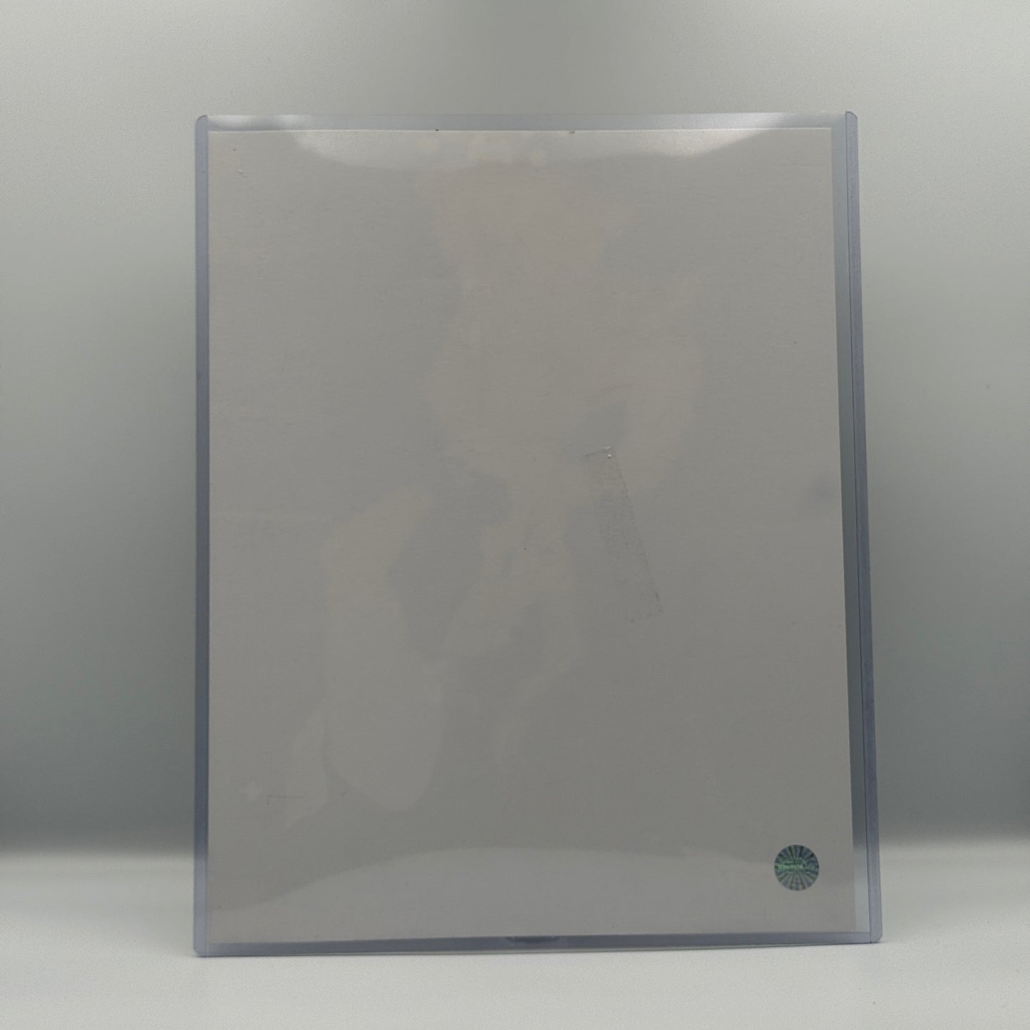 Cactus Jack Mick Foley & Terry Funk Dual Signed 11x14 Photo - ECW WWF Wrestling