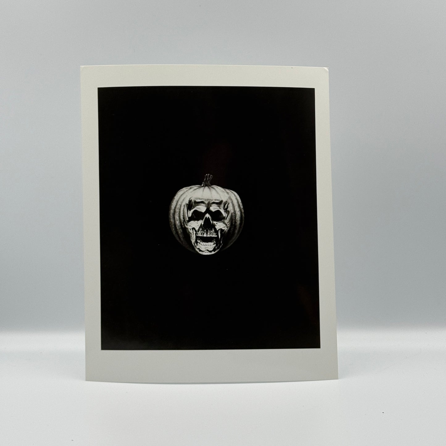 Halloween 2 1981 Lobby Cards Michael Myers Dick Warlock Jamie Lee Curtis